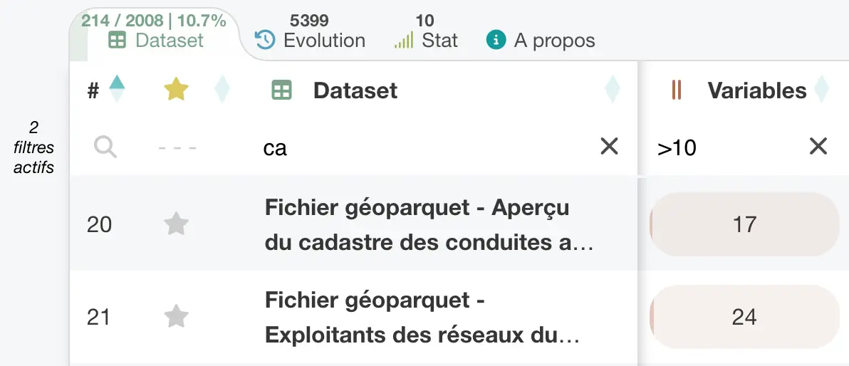 Datasets-Tab mit zwei aktiven Filtern